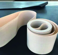PTFE Dryer Belt Linings